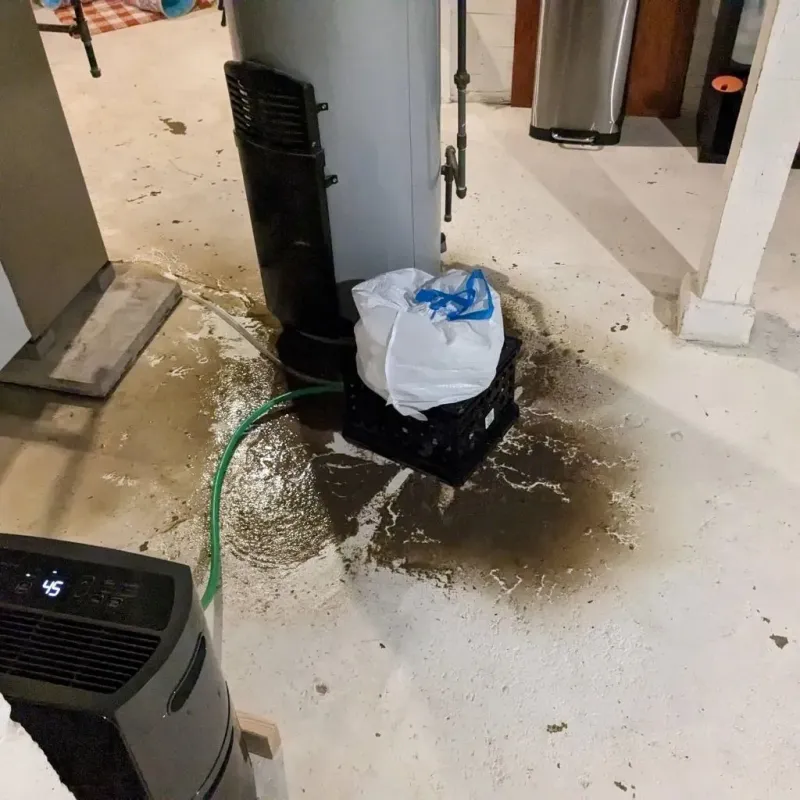 Sewage Backup Cleanup Service in Palisades Park, NJ